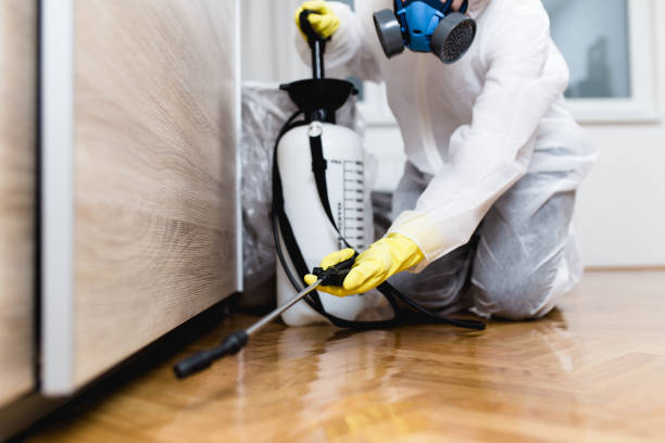 Best Pest Control for Restaurants  in Surfside, FL