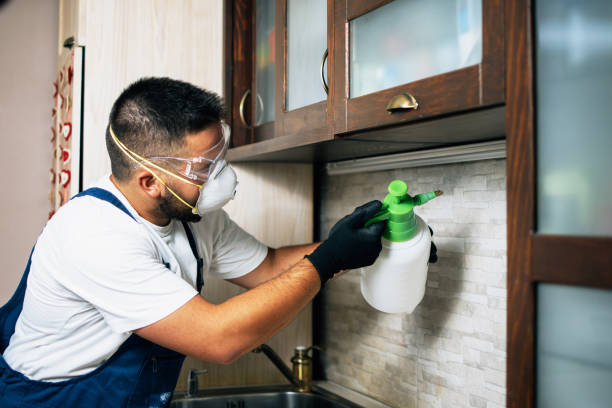 Reliable Surfside, FL Pest Control Solutions