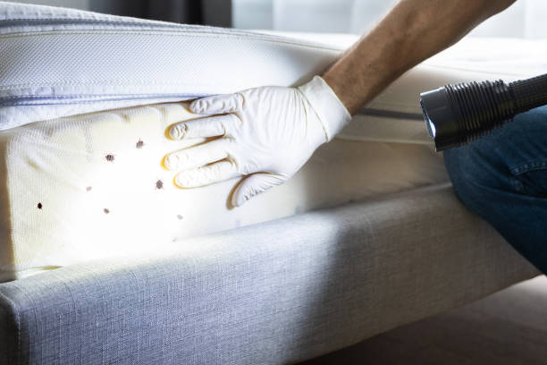 Best Best Pest Control Companies  in Surfside, FL