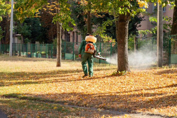 Best Pest Prevention Services  in Surfside, FL