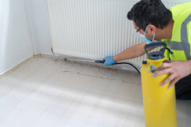 Best Affordable Pest Control Services  in Surfside, FL